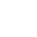 Common Raccoon Logo